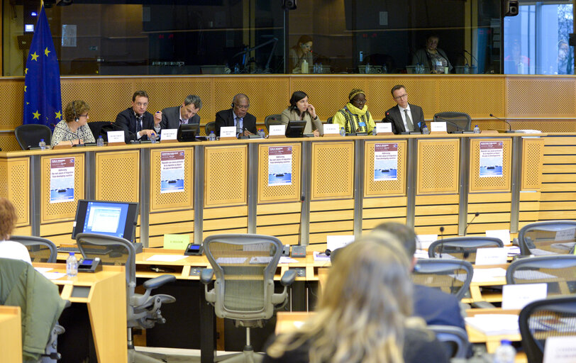 Foto 14: DEVE Public Hearing - Addressing the root causes of migration from developing countries