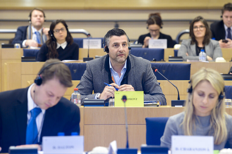 Photo 25 : IMCO Working Group on Digital Single Market