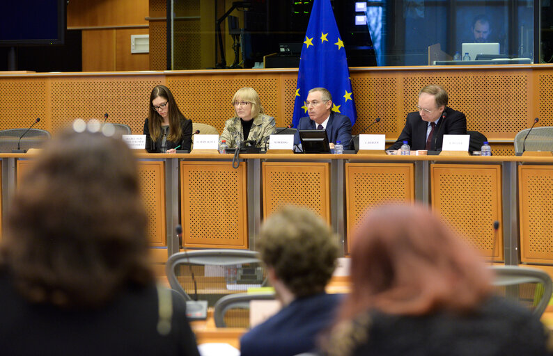 Foto 5: Meeting of the EP-Israel delegation