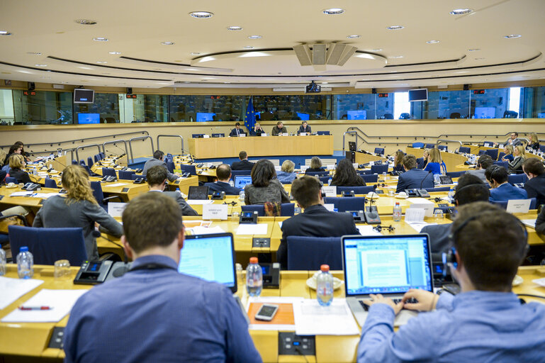 Photo 1 : IMCO Working Group on Digital Single Market