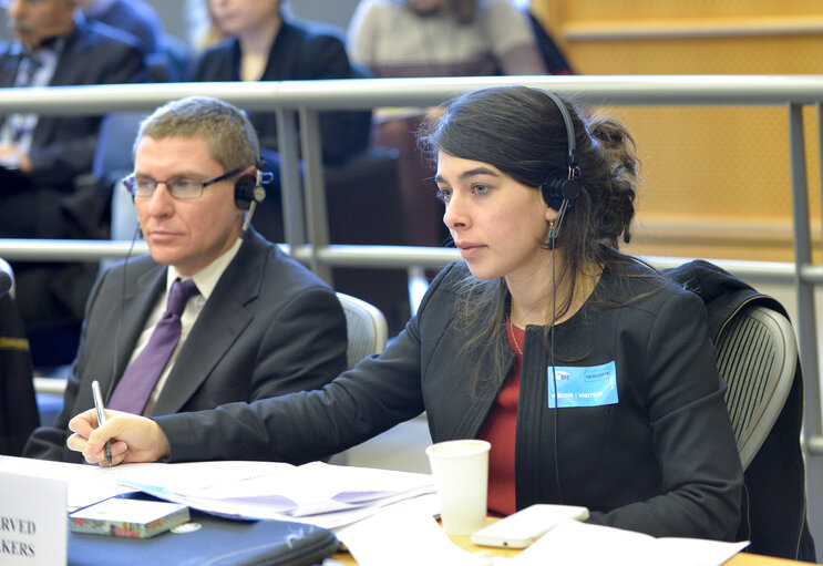 Foto 16: DEVE Public Hearing - Addressing the root causes of migration from developing countries