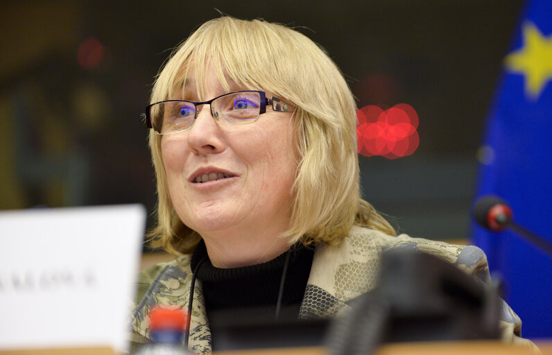 Meeting of the EP-Israel delegation