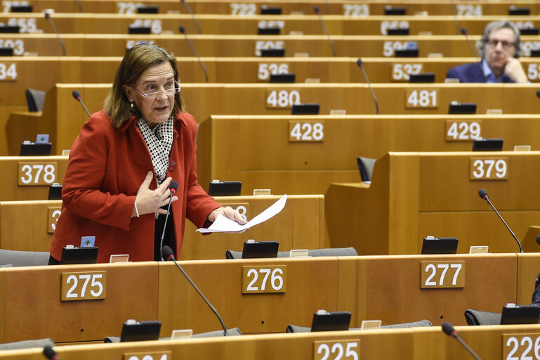 Foto 13: Plenary session in Brussels - Week 08  2016  Activities of the European Ombudsman in 2014