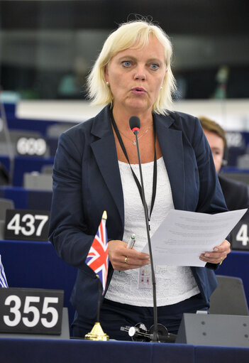 Plenary session week 29-2014 - Strasbourg - One-minute speeches