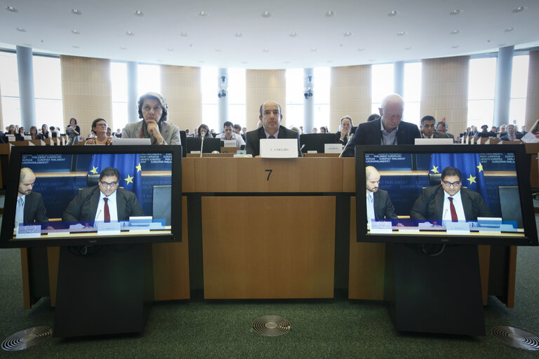 Fotografia 15: Constitutive LIBE committee meeting - Election of chairs and vice-chairs