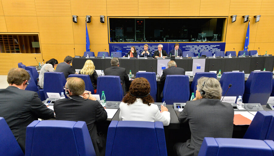 Billede 1: MEP Albert DESS ' EPP AGRI meeting '