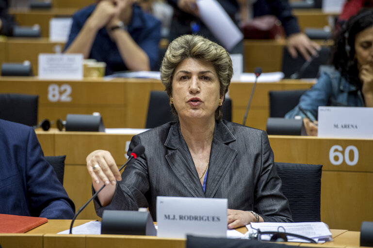 Foto 14: Constitutive EMPL committee meeting - Election of chairs and vice-chairs