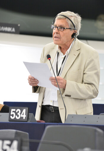 Plenary session week 29-2014 - Strasbourg - One-minute speeches