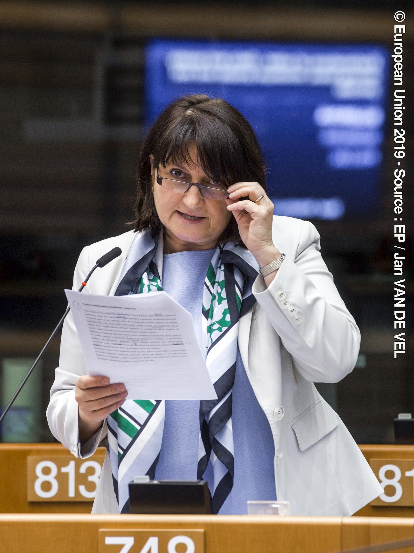 Valokuva 2: Plenary session - VOTES followed by explanations of votes