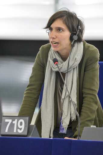 Fotagrafa 8: Plenary session week 29-2014 - Strasbourg - Explanations of votes