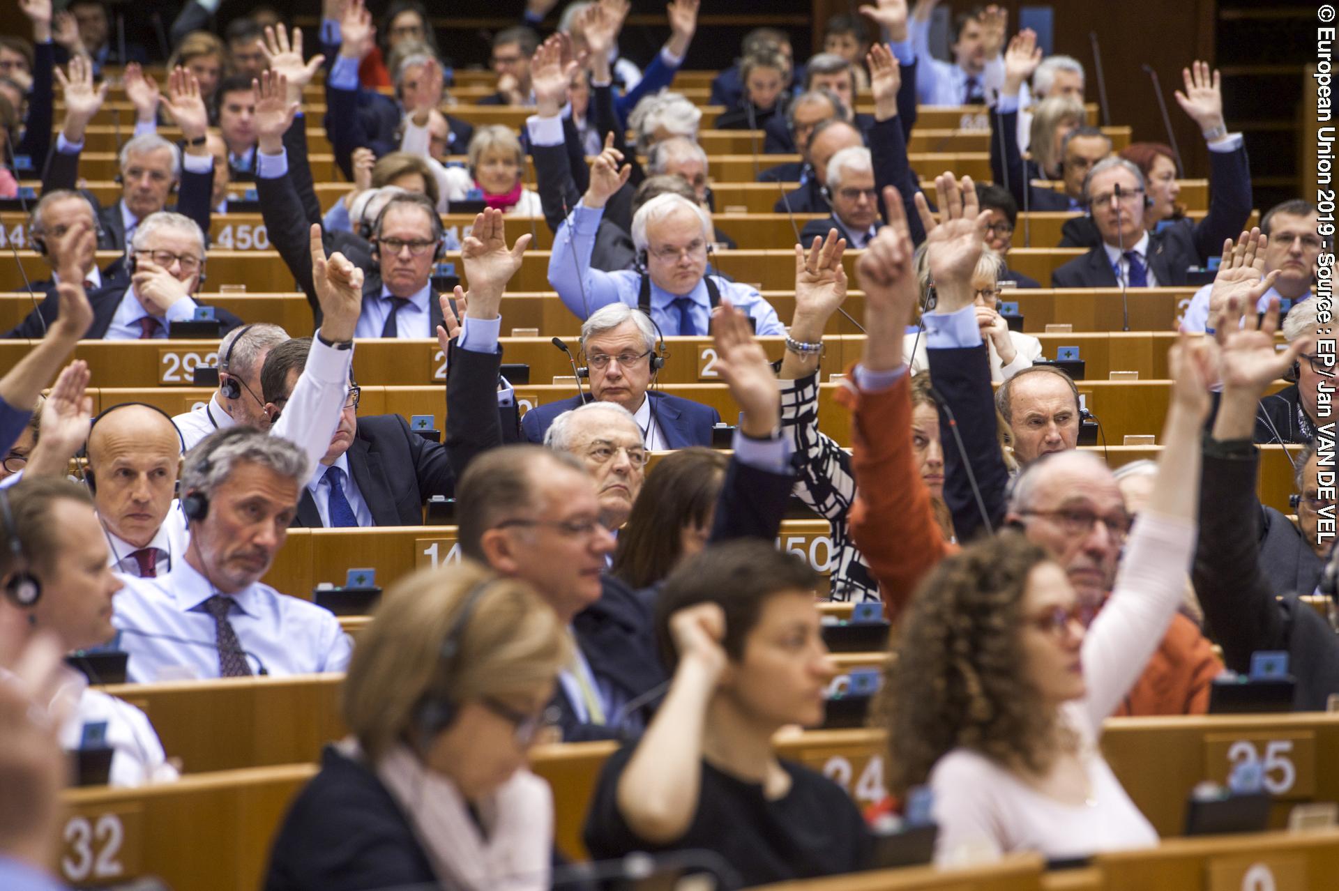 Valokuva 12: Plenary session - VOTES followed by explanations of votes