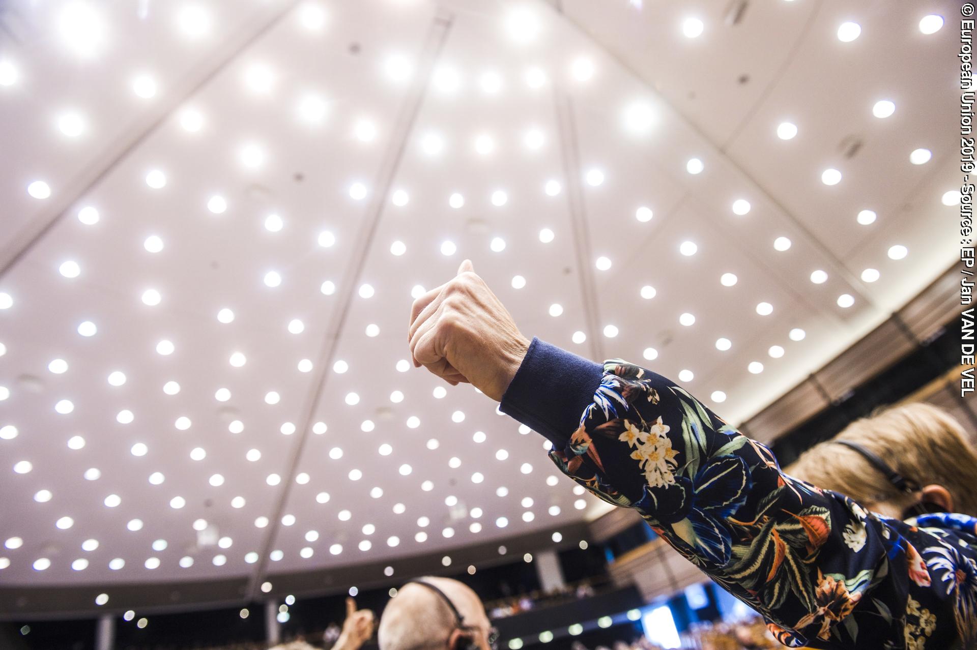 Valokuva 10: Plenary session - VOTES followed by explanations of votes