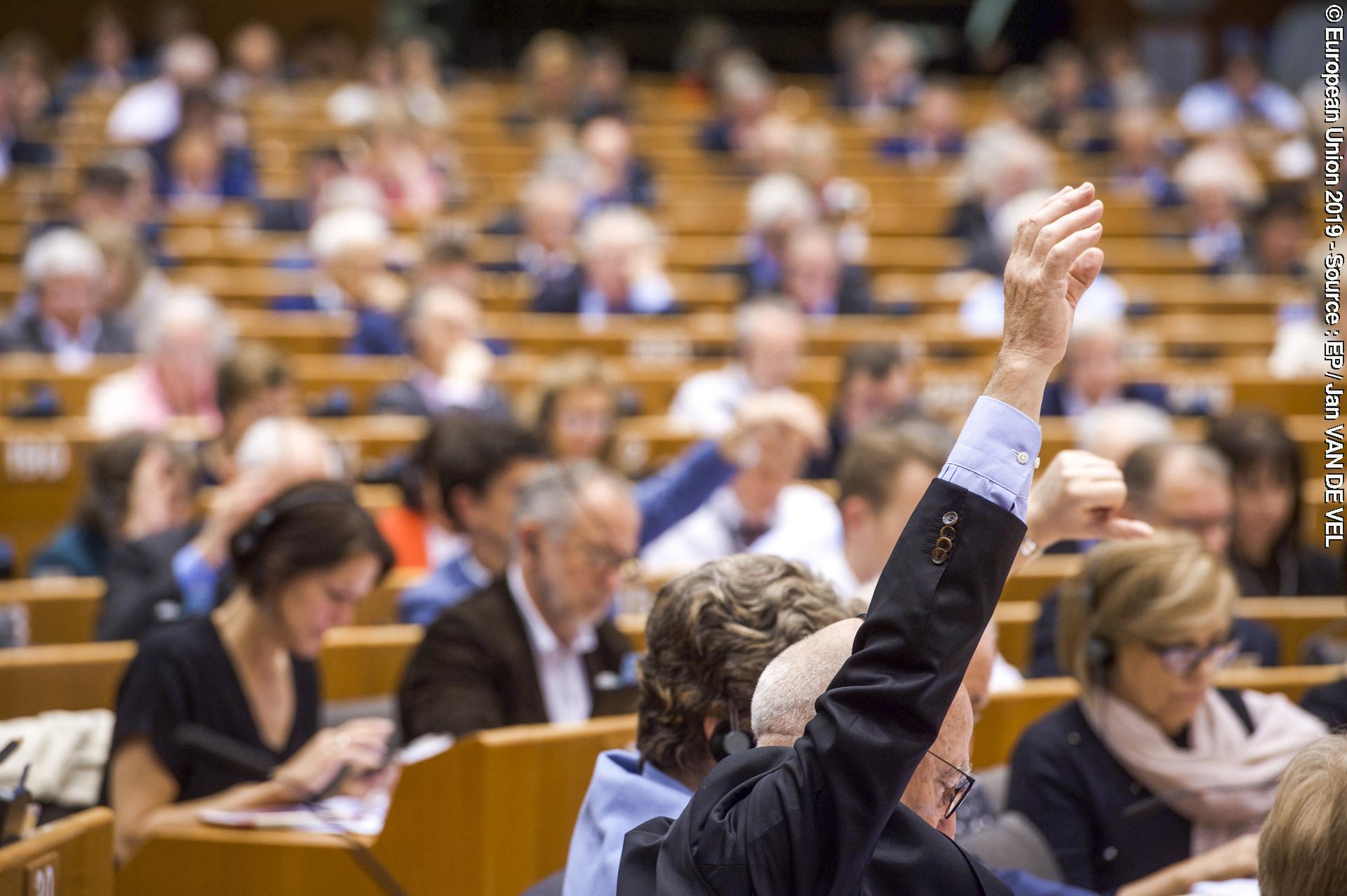 Valokuva 9: Plenary session - VOTES followed by explanations of votes