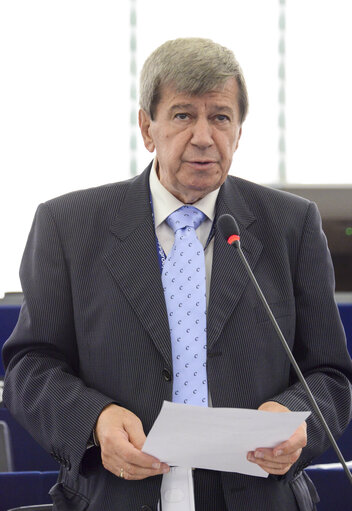 Foto 4: Plenary session week 29-2014 - Strasbourg - Situation in Ukraine