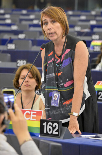 Fotagrafa 11: Plenary session week 29-2014 - Strasbourg - Explanations of votes