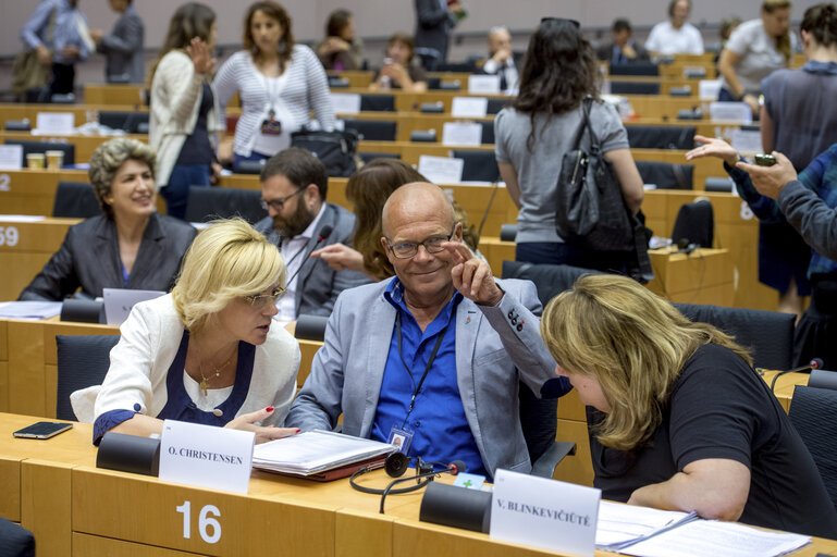 Foto 20: Constitutive EMPL committee meeting - Election of chairs and vice-chairs