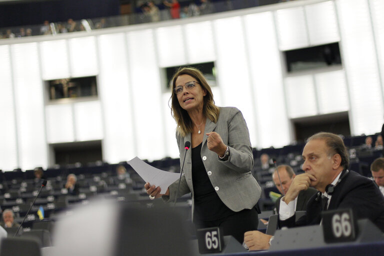 Photo 12: Plenary session week 38 2014 in Strasbourg - Situation in Ukraine and state of play of EU-Russia relations  Statement by the Vice-President of the Commission/High Representative of the Union for Foreign Affairs and Security Policy