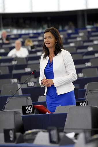 Fotografia 17: Plenary session week 38 2014 in Strasbourg - EU-Ukraine association agreement, with the exception of the treatment of third country nationals legally employed as workers in the territory of the other party