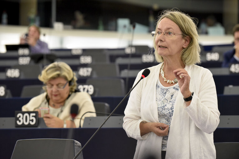 Fotografija 1: Plenary session week 38 2014 - Digital single market  Commission statement