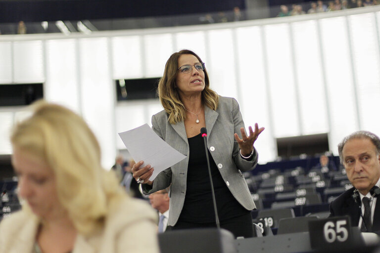 Photo 13: Plenary session week 38 2014 in Strasbourg - Situation in Ukraine and state of play of EU-Russia relations  Statement by the Vice-President of the Commission/High Representative of the Union for Foreign Affairs and Security Policy