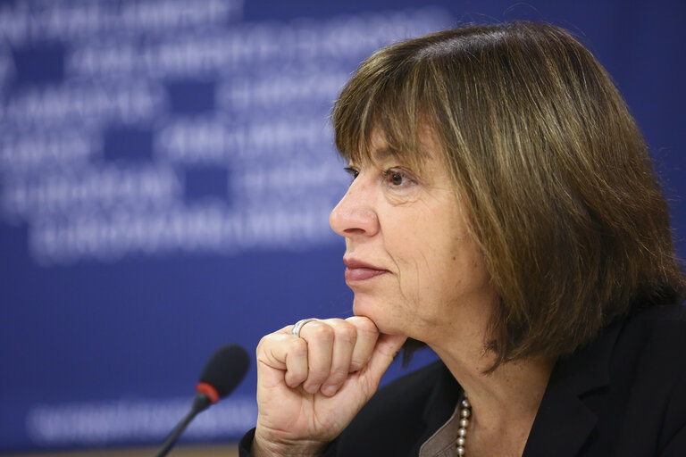 Photo 2: Press conference by MEP Rebecca HARMS - 'Persona non grata - MEP prevented from entering to  Russia'