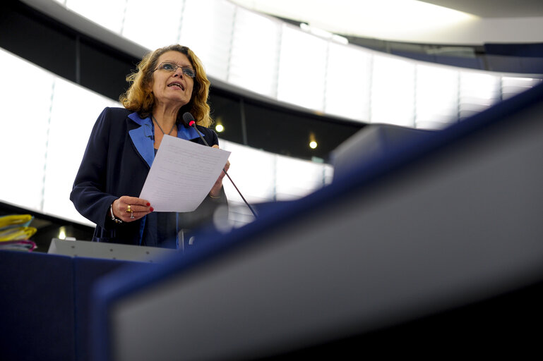 Foto 49: Plenary session week 38 2014 in Strasbourg - EU annual report on human rights and democracy in the world  Statement by the Vice-President of the Commission/High Representative of the Union for Foreign Affairs and Security Policy