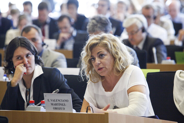 Foto 21: Hearing of Commissioner-designate for European Neighbourhood Policy and Enlargement Negotiations - AFET