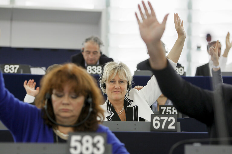 Suriet 2: Nadine MORANO in plenary chamber week 38 2014 in Strasbourg