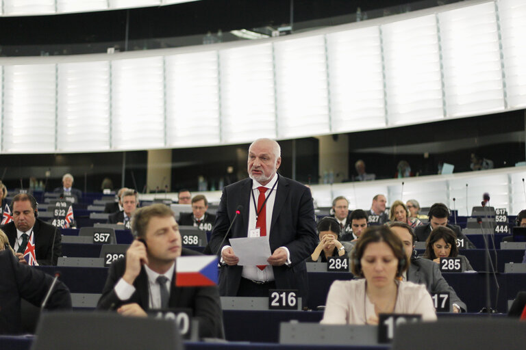 Fotogrāfija 38: Plenary session week 38 2014 in Strasbourg - Situation in Ukraine and state of play of EU-Russia relations  Statement by the Vice-President of the Commission/High Representative of the Union for Foreign Affairs and Security Policy