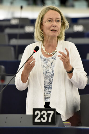 Fotografija 2: Plenary session week 38 2014 - Digital single market  Commission statement