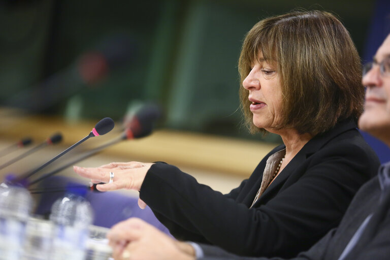 Photo 5: Press conference by MEP Rebecca HARMS - 'Persona non grata - MEP prevented from entering to  Russia'