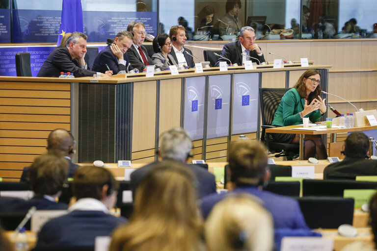 Fotografi 8: Hearing of the Commissioner dersignate for Trade - INTA