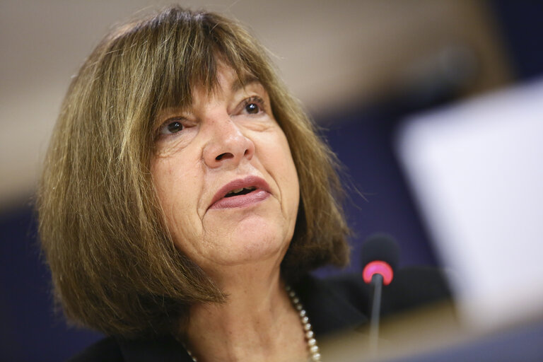 Photo 4: Press conference by MEP Rebecca HARMS - 'Persona non grata - MEP prevented from entering to  Russia'