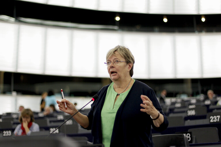 Fotogrāfija 28: Plenary session week 38 2014 in Strasbourg - Situation in Ukraine and state of play of EU-Russia relations  Statement by the Vice-President of the Commission/High Representative of the Union for Foreign Affairs and Security Policy