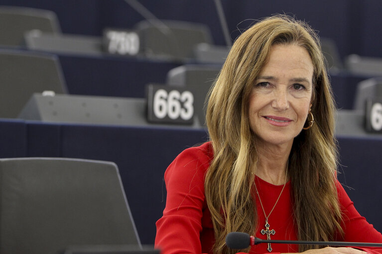 Fotografi 17: Plenary session week 38 2014 in Strasbourg - EU response to the Ebola outbreak