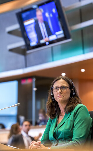 Fotografi 29: Hearing of the Commissioner dersignate for Trade - INTA