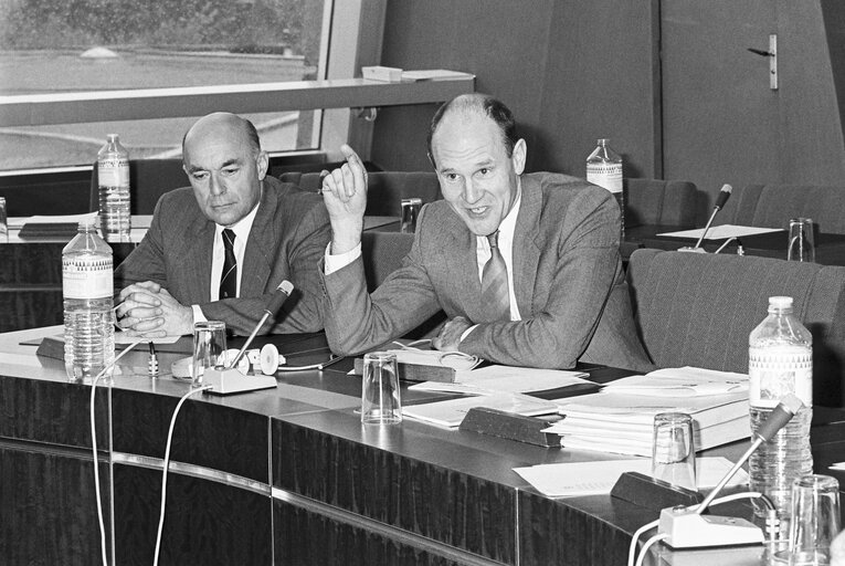 Meeting on ' Single European Act ' at the European Parliament in Strasbourg in May 1987