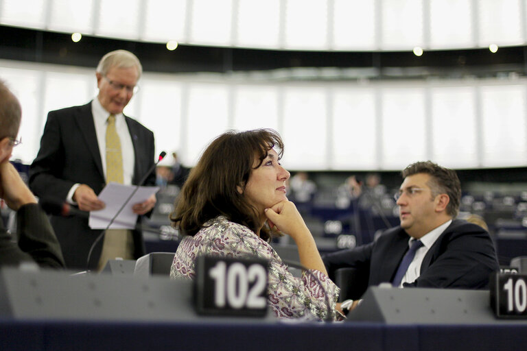 Photo 23 : Plenary session week 38 2014 in Strasbourg - Situation in Ukraine and state of play of EU-Russia relations  Statement by the Vice-President of the Commission/High Representative of the Union for Foreign Affairs and Security Policy