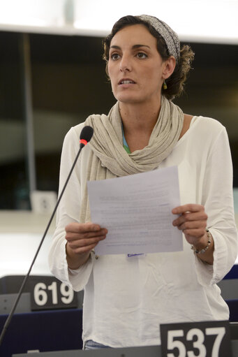 Fotografi 3: Plenary session week 38 2014 in Strasbourg - EU response to the Ebola outbreak