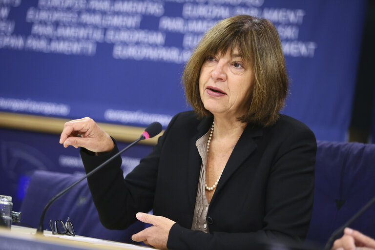 Photo 3: Press conference by MEP Rebecca HARMS - 'Persona non grata - MEP prevented from entering to  Russia'