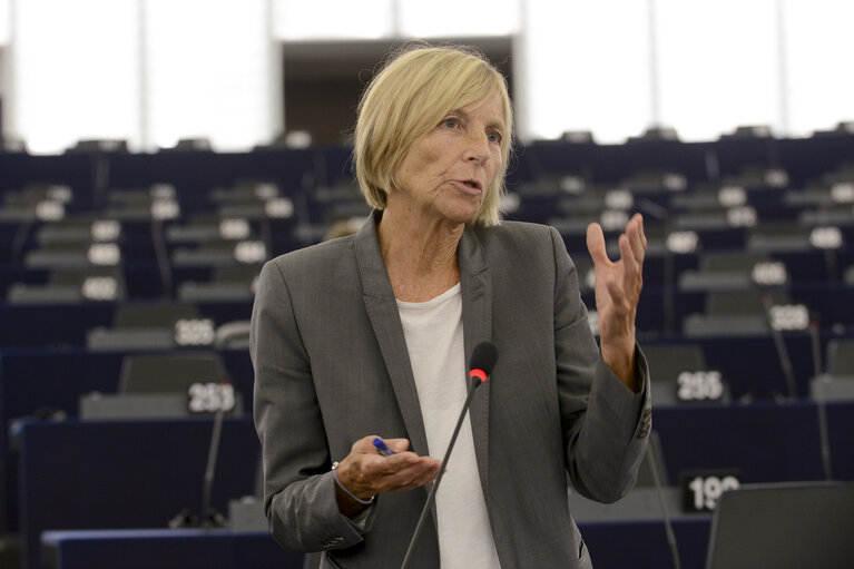 Fotografi 33: Plenary session week 38 2014 in Strasbourg - EU response to the Ebola outbreak