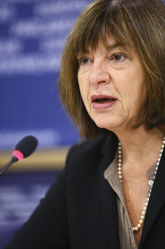 Photo 8: Press conference by MEP Rebecca HARMS - 'Persona non grata - MEP prevented from entering to  Russia'