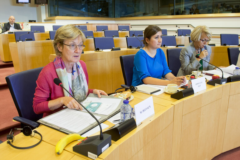 Photo 10 : Meeting of the Advisory Committee on the Conduct of Members