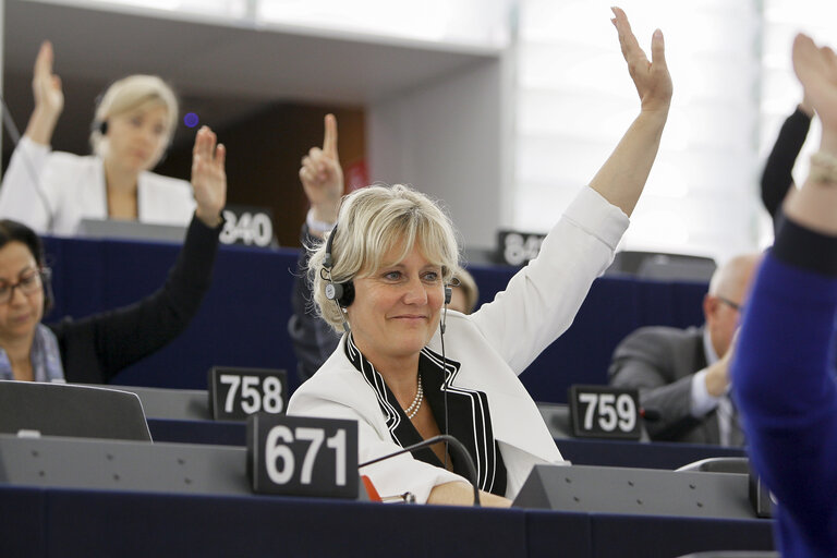 Suriet 4: Nadine MORANO in plenary chamber week 38 2014 in Strasbourg