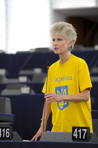 Fotografia 1: Plenary session week 38 2014 in Strasbourg - EU-Ukraine association agreement, with the exception of the treatment of third country nationals legally employed as workers in the territory of the other party  Recommendation:  Jacek Saryusz-Wolski