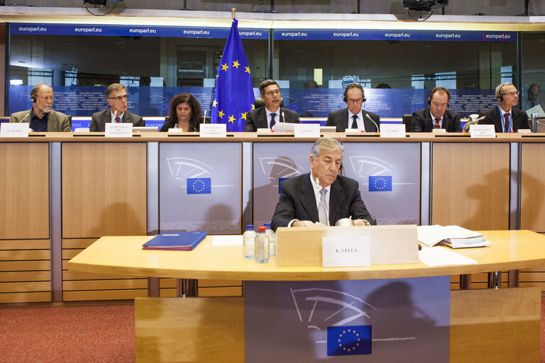 Fotografi 1: Hearing of Commissioner-designate for Environment, Maritime Affairs and Fisheries - ENVI - PECH