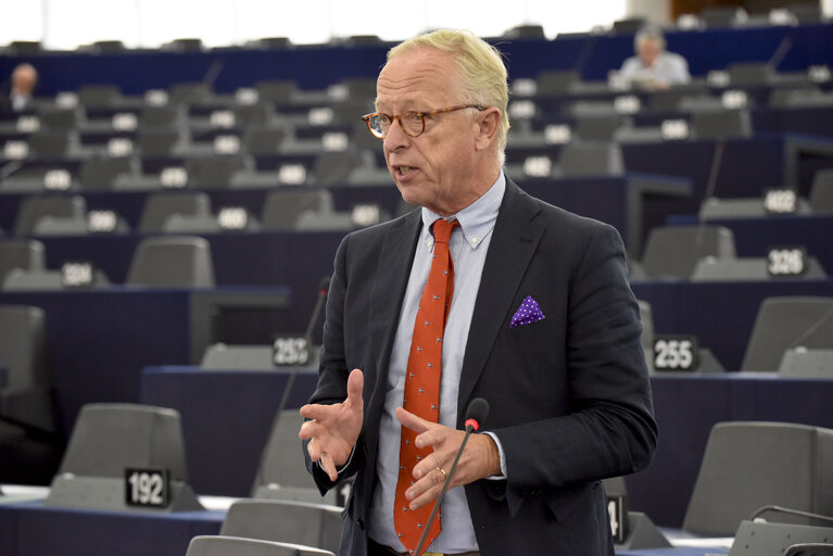 Plenary session week 38 2014 - Digital single market  Commission statement