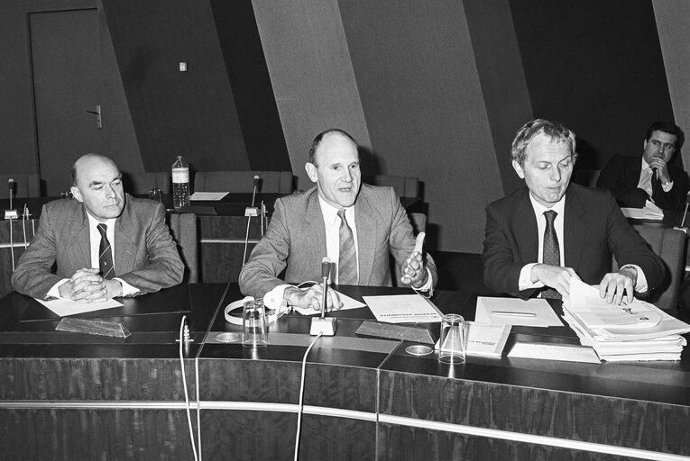 Meeting on ' Single European Act ' at the European Parliament in Strasbourg in May 1987