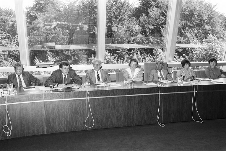 Presentation of medals by deputies