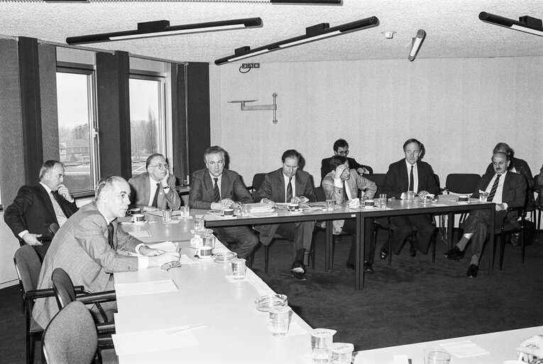 Photo 3: Meeting on ' Ecu ' at the European Parliament in Strasbourg